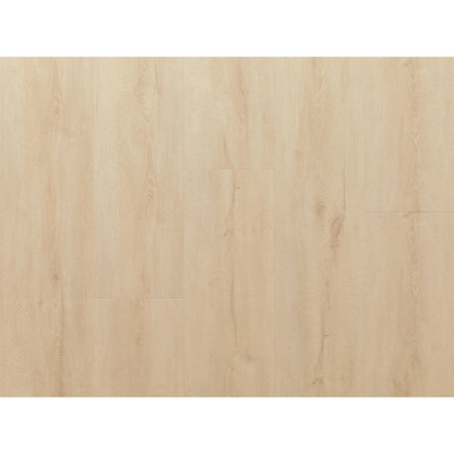 NewAge Stone Composite LVP Flooring 9.5mm 168 sq. ft. Flooring Bundle